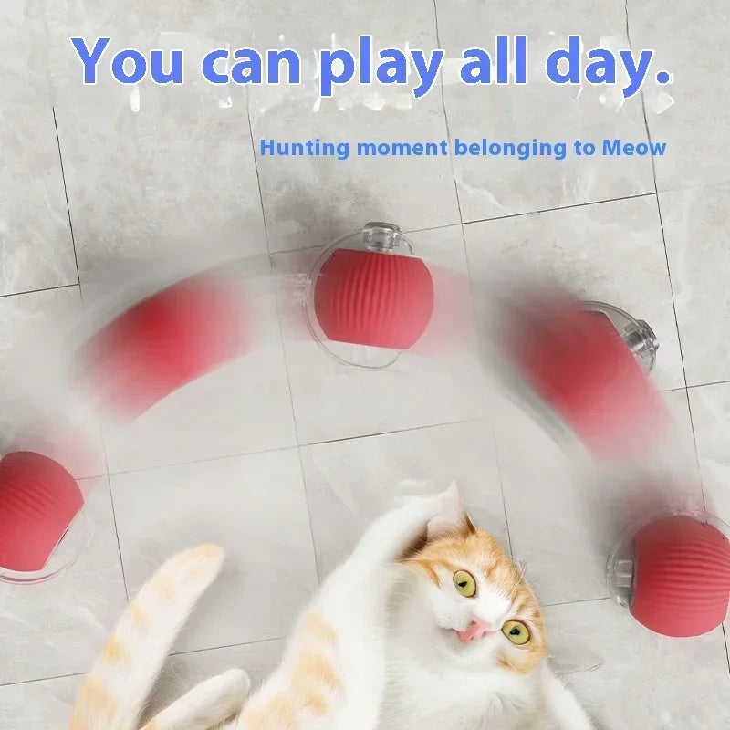 Interactive Cat Ball with Tail