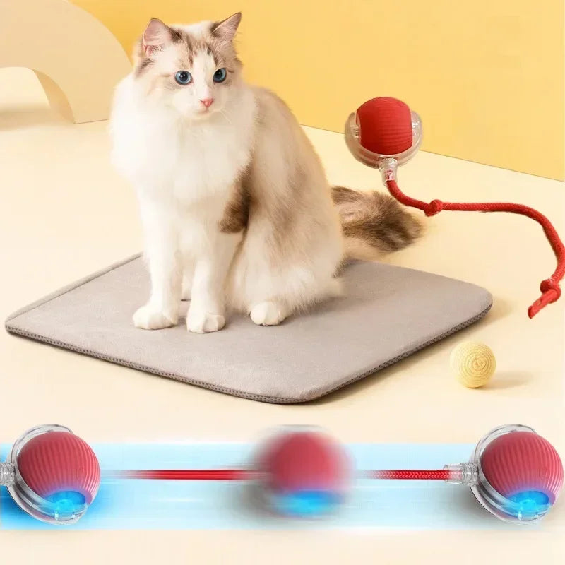 Interactive Cat Ball with Tail