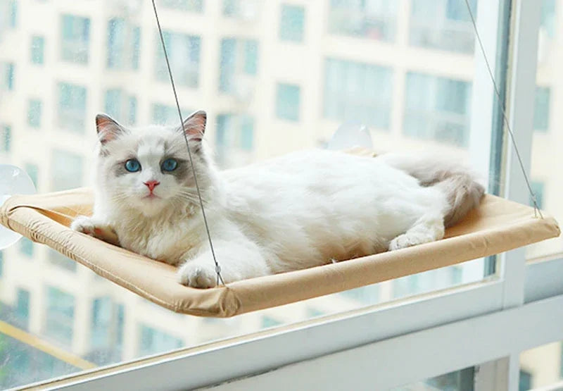 Hanging Cat Hammock