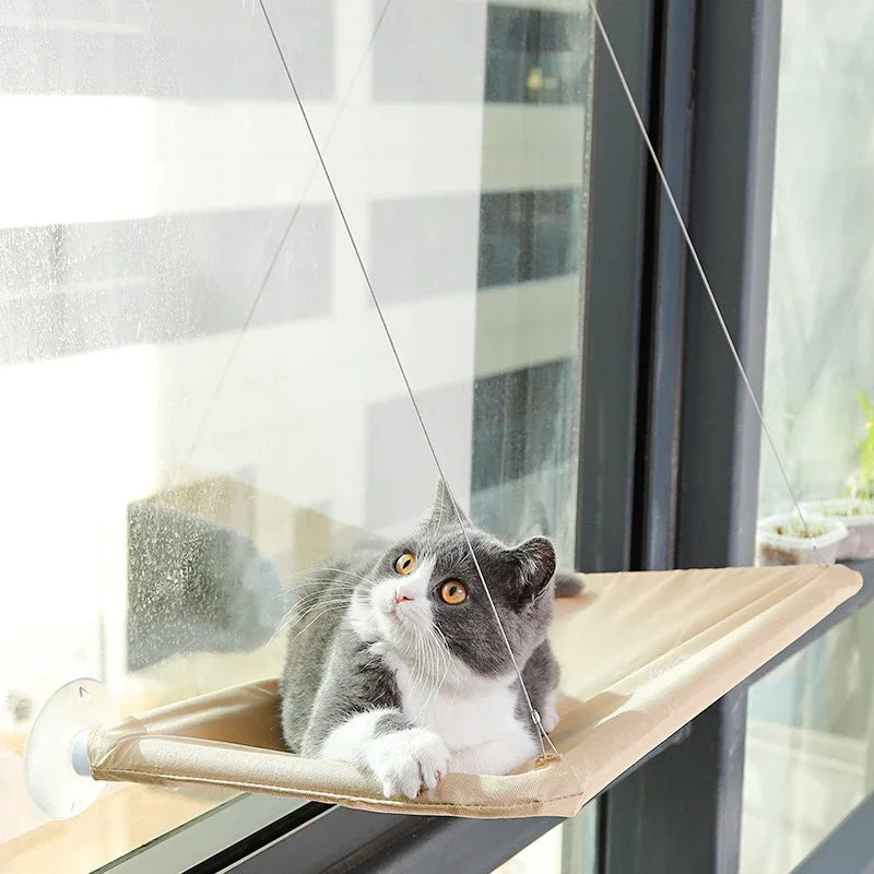 Hanging Cat Hammock