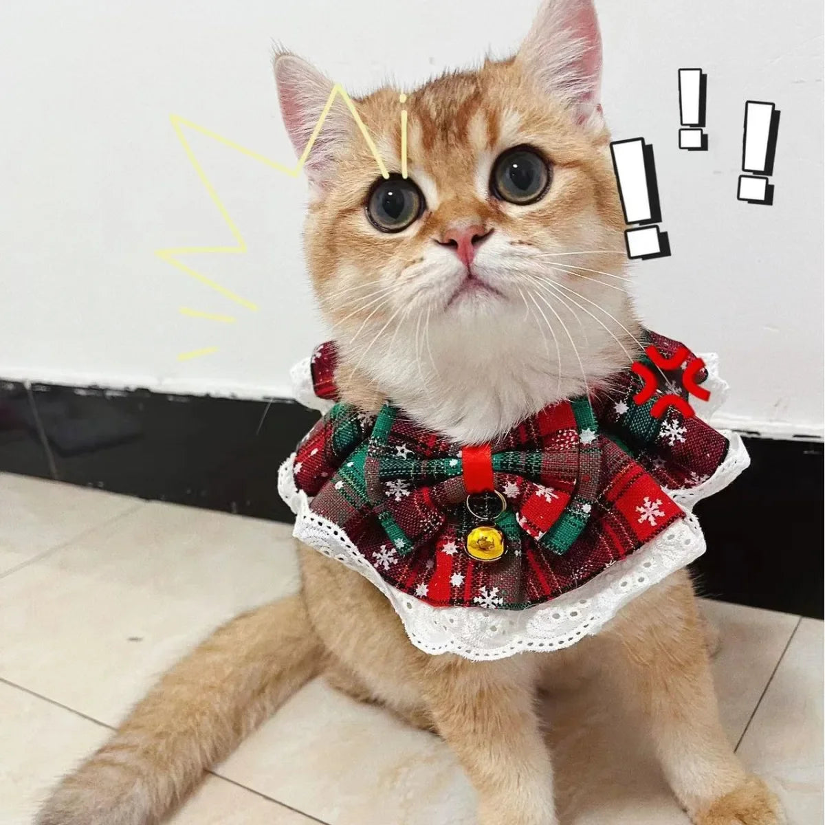 Christmas Cat Collar with Bell